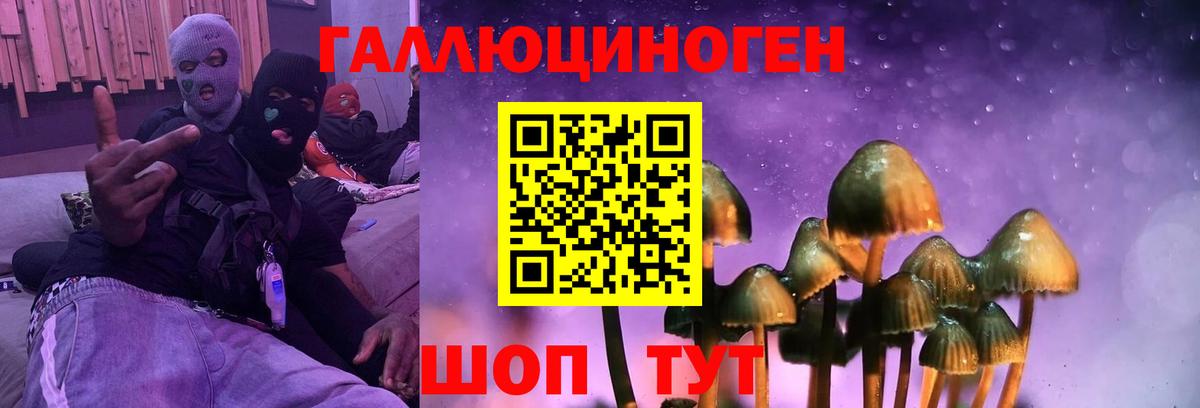 Псилоцибиновые грибы MAGIC MUSHROOMS Кандалакша